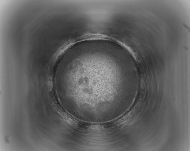 X0000097511407200802291609