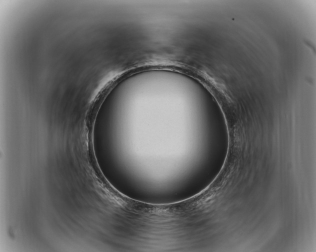 X0000097511408200802291609