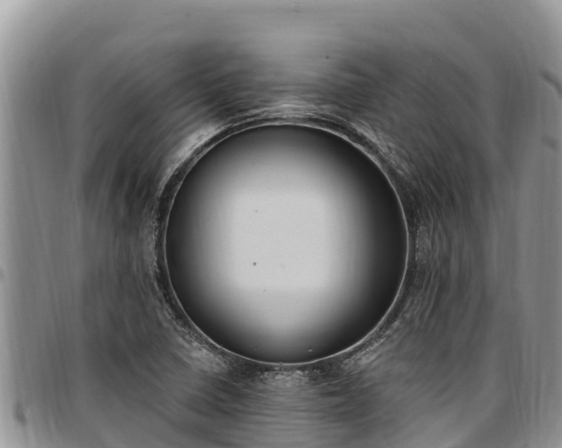 X0000097511410200802291609