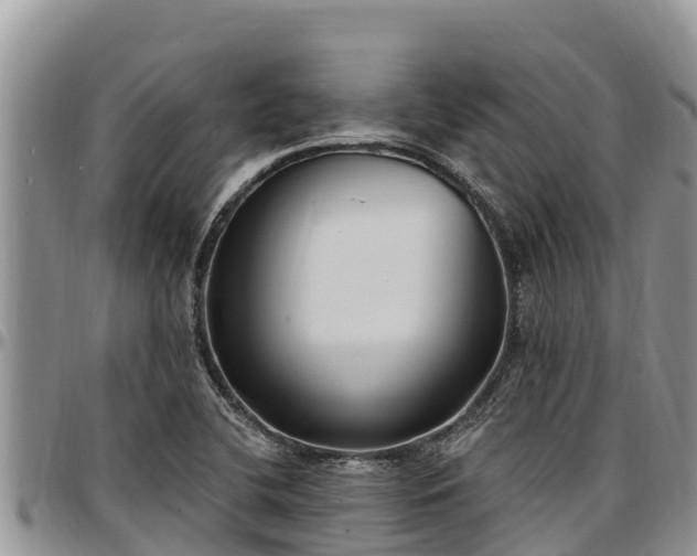 X0000097511412200802291609