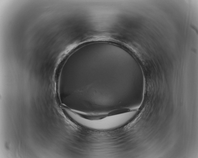 X0000097511414200802291609