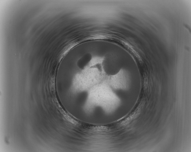 X0000097511417200802291609