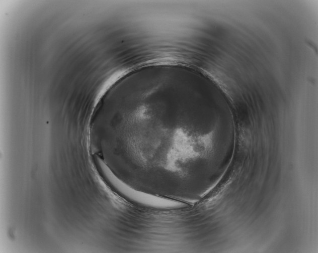 X0000097511418200802291609