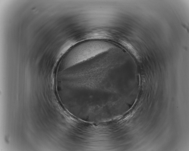 X0000097511419200802291609
