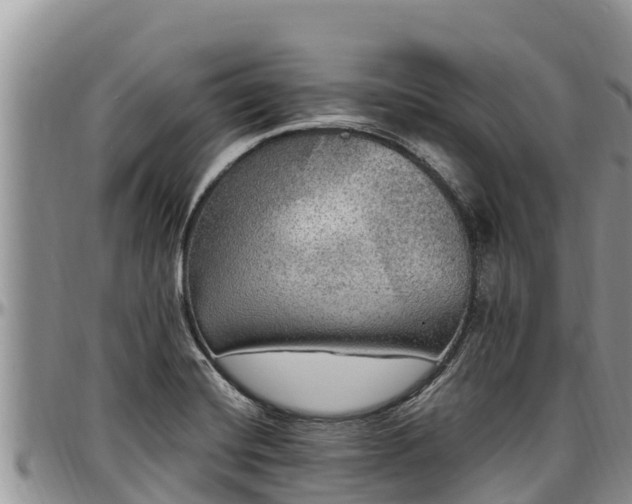 X0000097511420200802291609