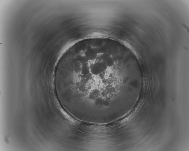 X0000097511421200802291609