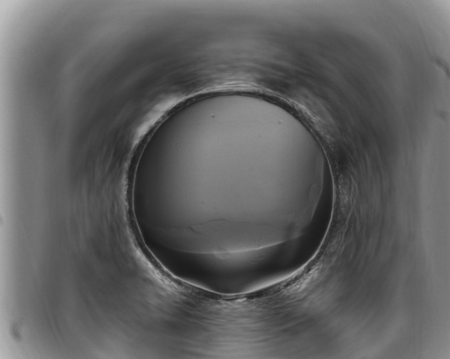 X0000097511422200802291609