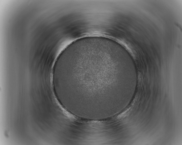 X0000097511424200802291609