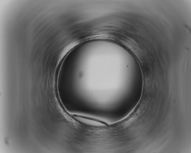 X0000097511426200802291609