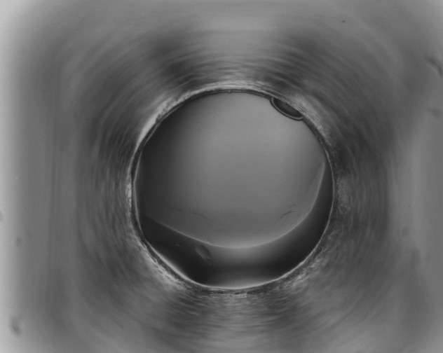 X0000097511428200802291609