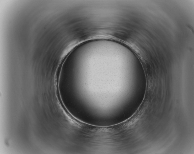 X0000097511430200802291609