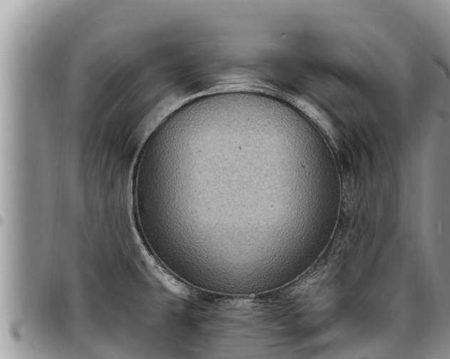 X0000097511431200802291609