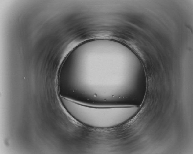 X0000097511432200802291609
