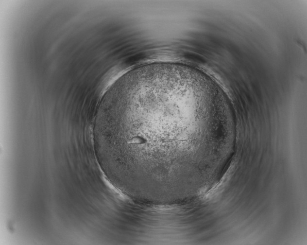 X0000097511433200802291609