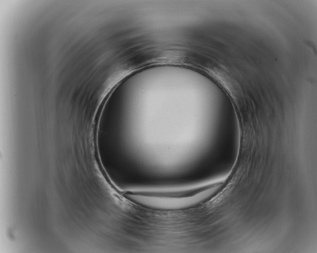 X0000097511434200802291609