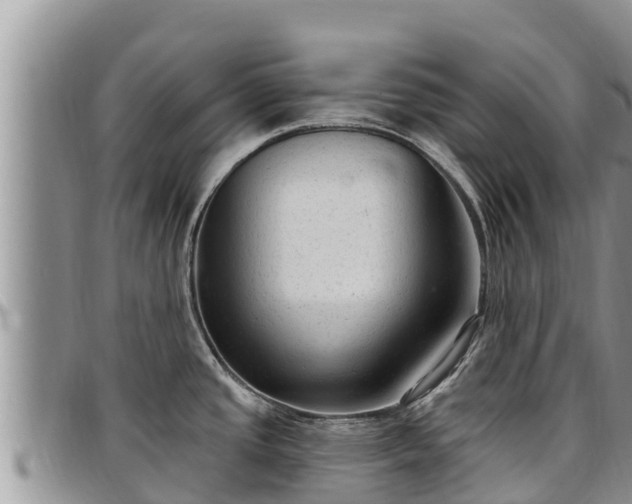 X0000097511437200802291609