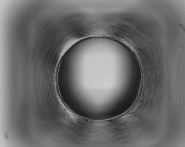 X0000097511440200802291609