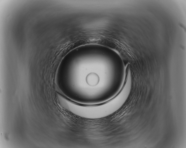 X0000097511441200802291609