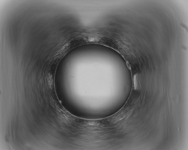 X0000097511443200802291609