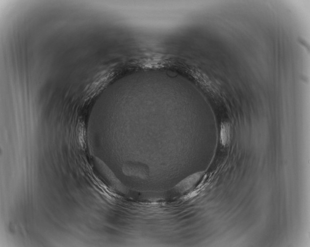X0000097511444200802291609