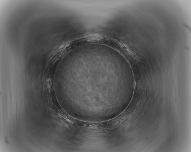 X0000097511445200802291609