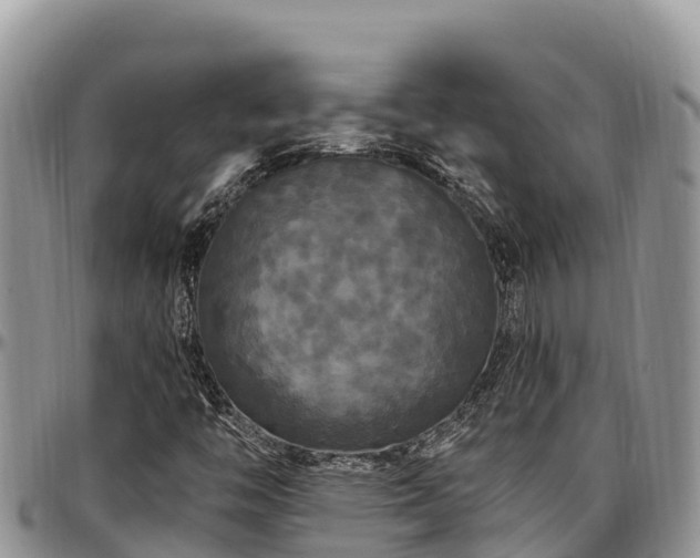 X0000097511446200802291609
