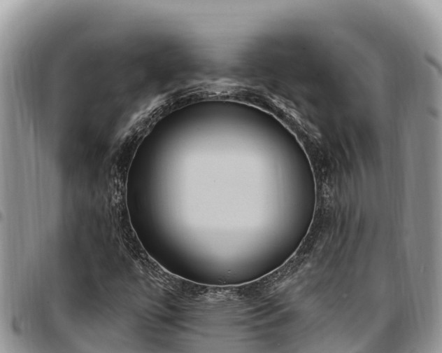 X0000097511447200802291609