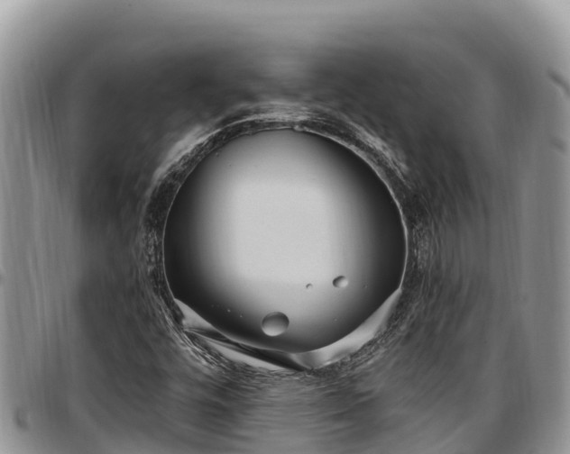 X0000097511448200802291609
