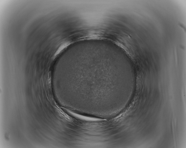 X0000097511450200802291609
