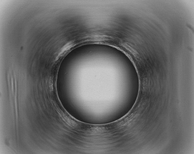 X0000097511451200802291609