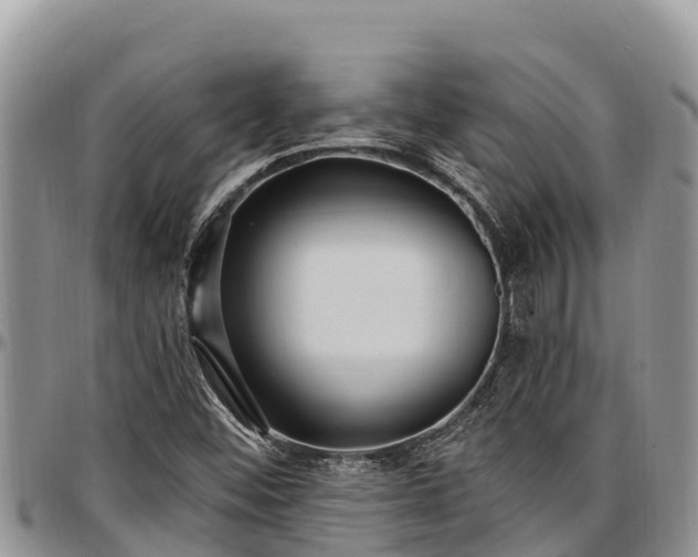 X0000097511452200802291609