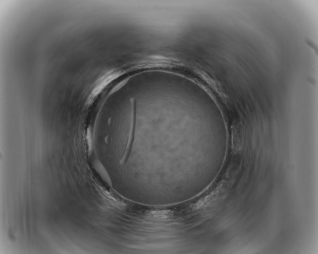 X0000097511453200802291609