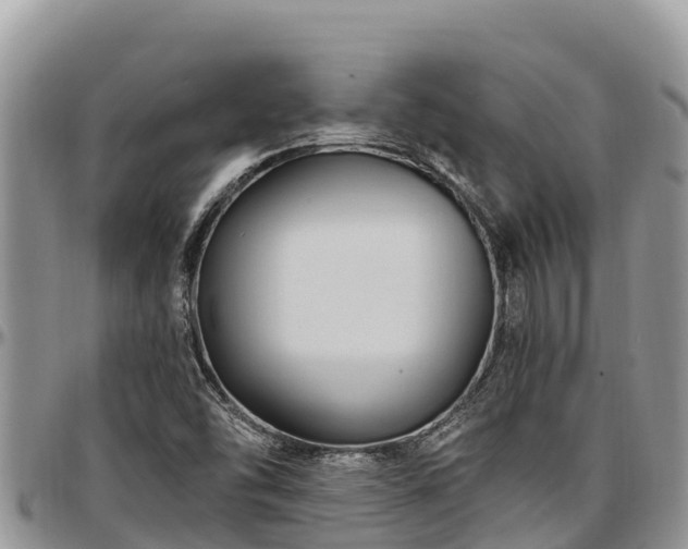 X0000097511454200802291609