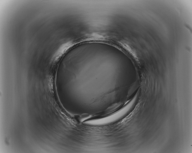 X0000097511455200802291609