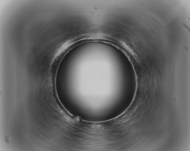 X0000097511456200802291609