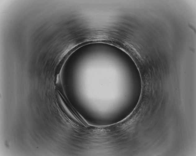 X0000097511457200802291609