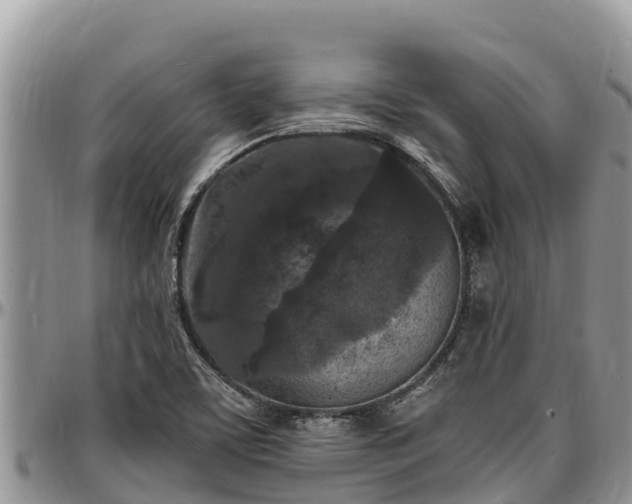 X0000097511459200802291609