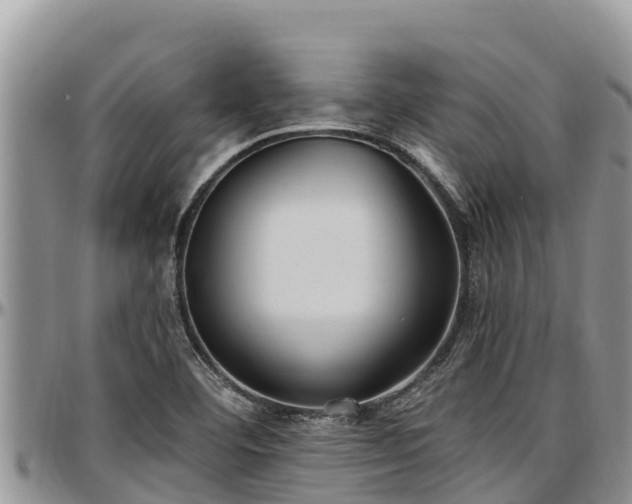 X0000097511460200802291609