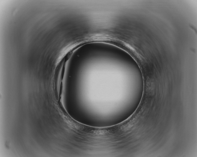 X0000097511461200802291609