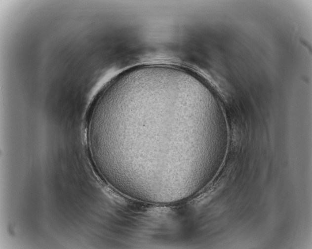 X0000097511462200802291609