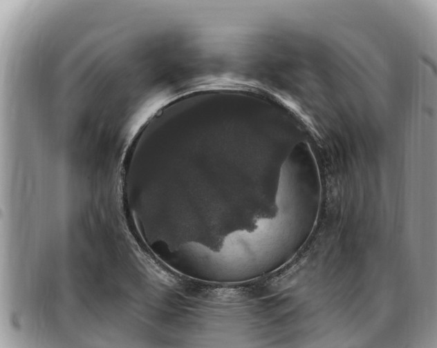 X0000097511463200802291609