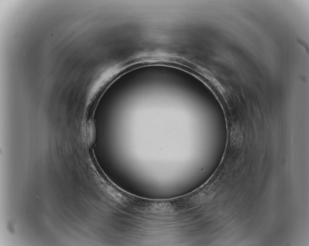 X0000097511464200802291609