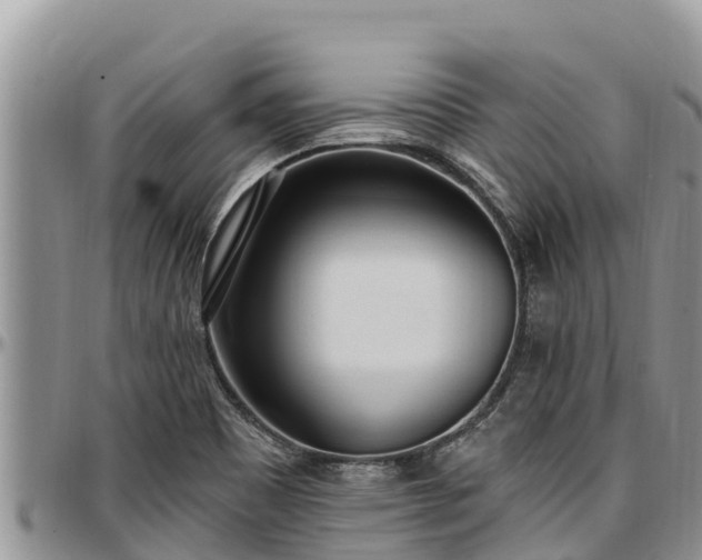 X0000097511465200802291609