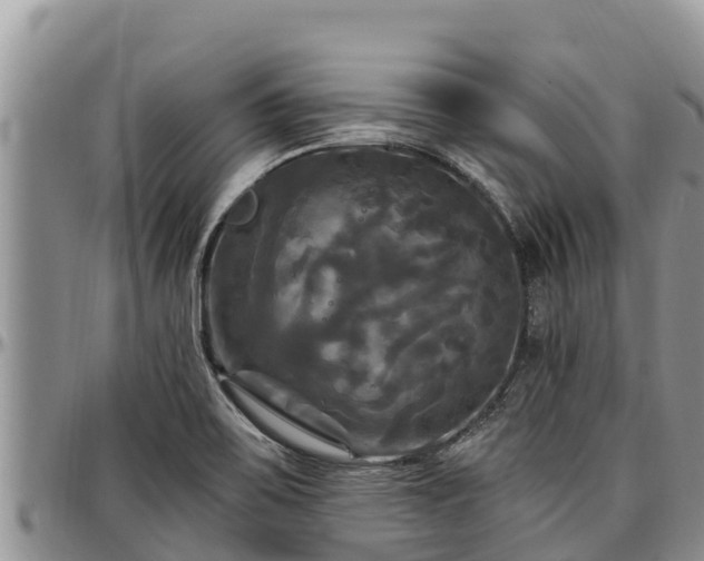 X0000097511467200802291609