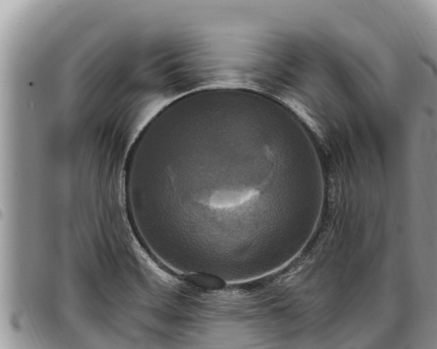 X0000097511468200802291609