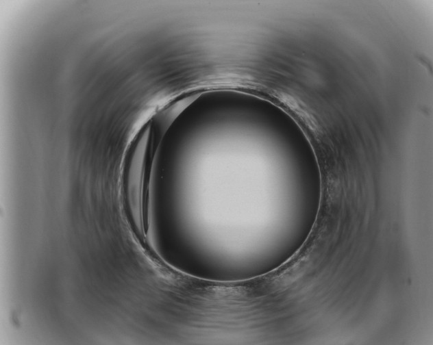 X0000097511469200802291609