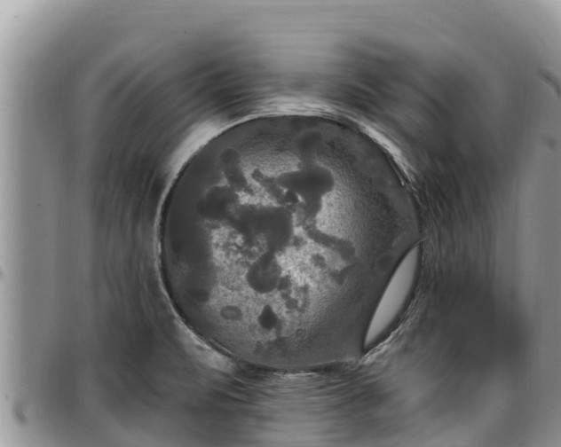 X0000097511471200802291609