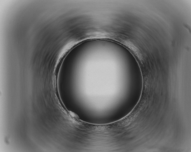 X0000097511472200802291609