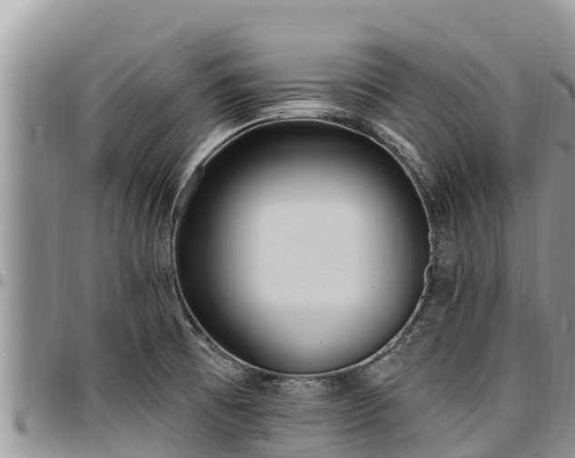 X0000097511473200802291609