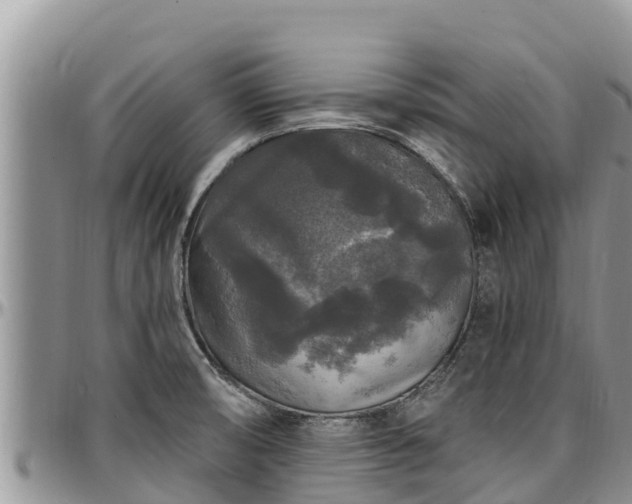 X0000097511474200802291608